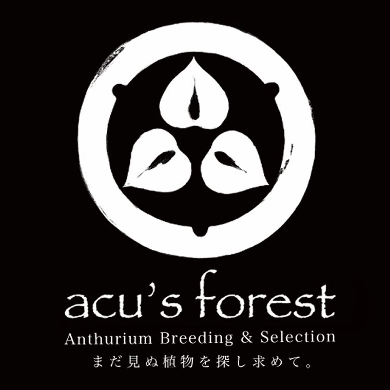 アンスリウム専門サイト｜ acu’s forest